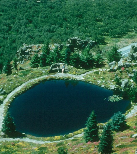 Hidden Pool