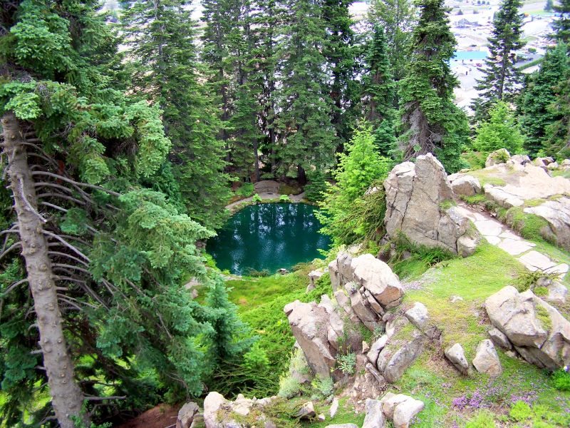 Hidden Pool