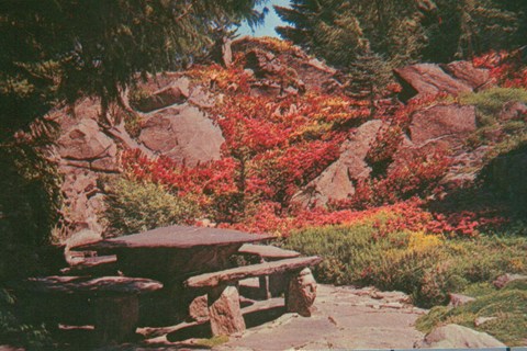 Stone Picnic Area