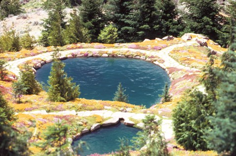 Twin Pool